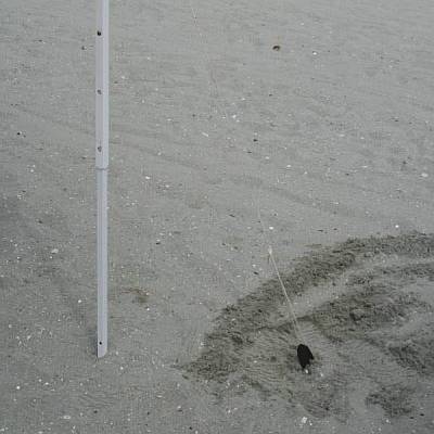Sand Anchor - Adjust tension Snugly