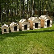 Dog House Kits