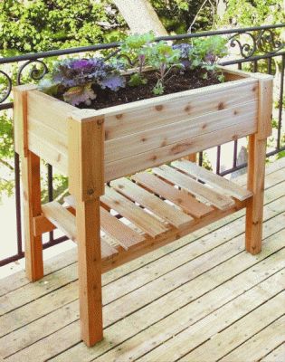 Raised Planter Box