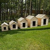 Cedar Dog Houses