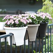 Outdoor Garden Accessories