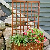 Trellis Box Planter