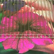 Polycarbonate Greenhouse Covering