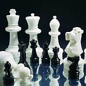 Large Chess Set