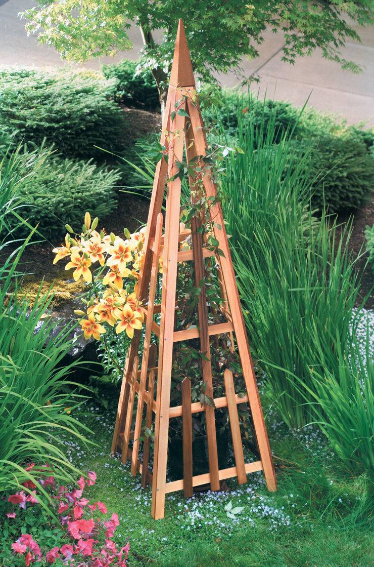 Pyramid Trellis Cedar