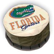 Florida Cover