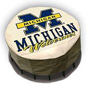 Michigan Cover