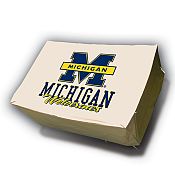 Michigan Cover