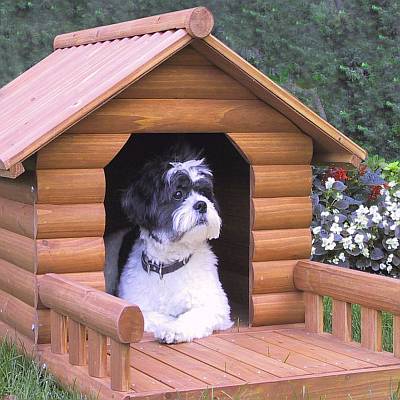 Medium Log Home