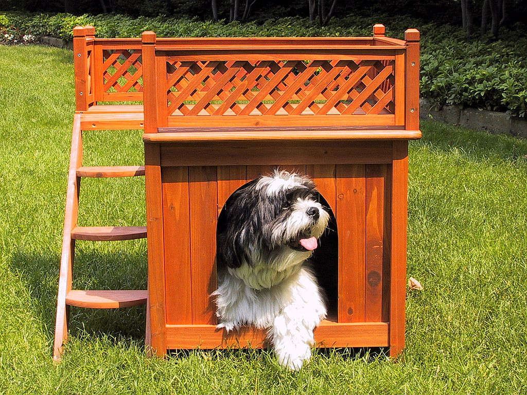 unique dog houses for sale