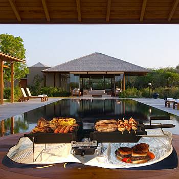 Son of Hibachi Grilling Systems