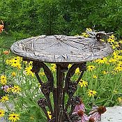 Butterfly - Dragonfly Bird Bath