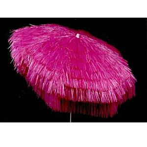 Palapa Fuchsia