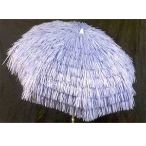 Palapa Lavender