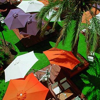 Paraflex Offset Umbrellas