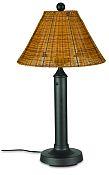 Tahiti Bronze Table Lamp