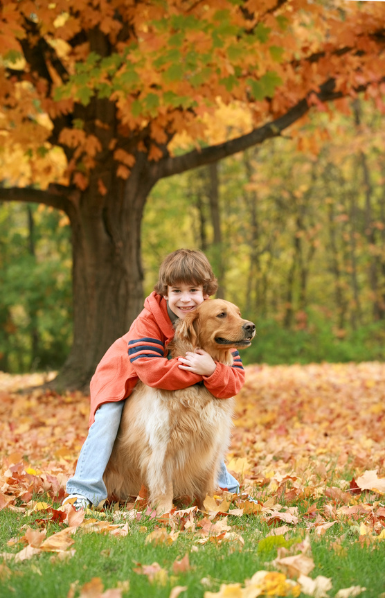 golden retriever shedding solutions boy hugging golden retriever outdoor patio ideas golden retriever shedding solutions boy hugging golden retriever outdoor patio ideas