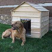 Cedar Dog House - Medium