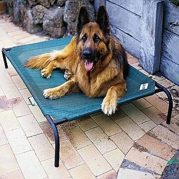 Large Coolaroo Dog Bed Replacement Cover