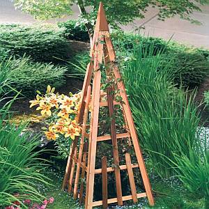 Garden Trellis - 81 inch Cedar Pyramid