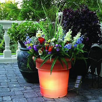 GardenGlo Solar Lighted Planters
