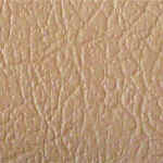 Buckskin