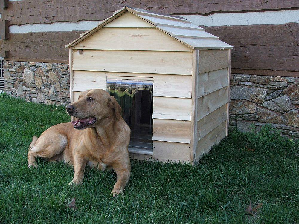 На улице жили щенки. Собачья будка. Собака с конурой. Красивые будки для собак. Собака в будке на цепи.