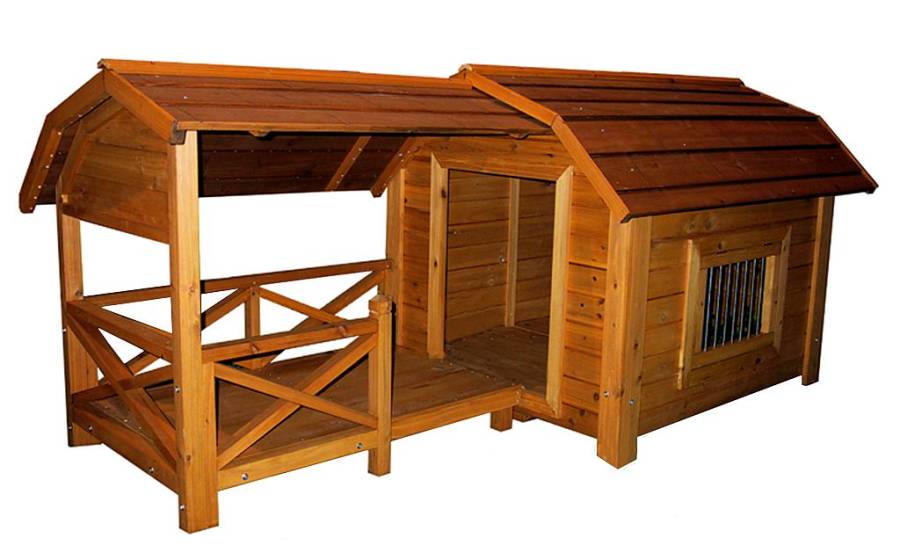 Barn sales dog house