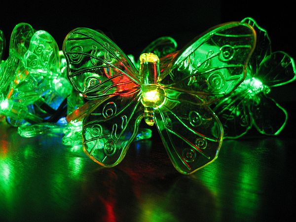 Solar Butterfly Light String