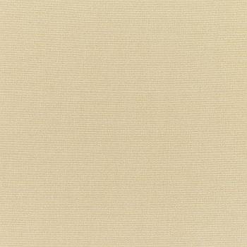 Sunbrella Antique Beige (5422)